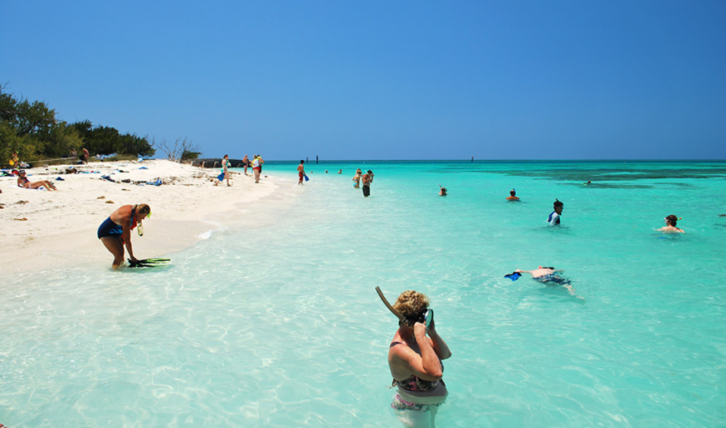 Snorkeling Charters in Dry Tortugas